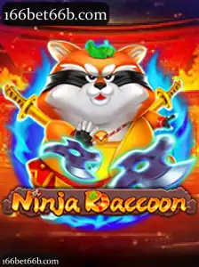NinjaRaccoon